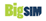 BigSIM Logo.png